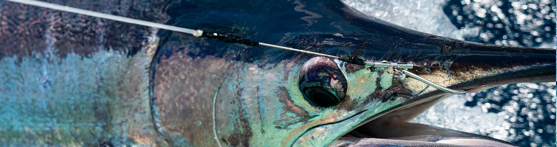 big hooks deep sea fishing Large Giant Shark Saltwater Alligator Hooks Game Stainless Steel J Fishing Hooks Extra Strong Large Fish Hooks for Tuna Swordfish Catfish Size 5/0-20/0 : Sports & Outdoors Merges a Wide Gap Offset Circle Hook with a stainless steel swivel 500g/300g/200g Huge Anchor Fishing Treble